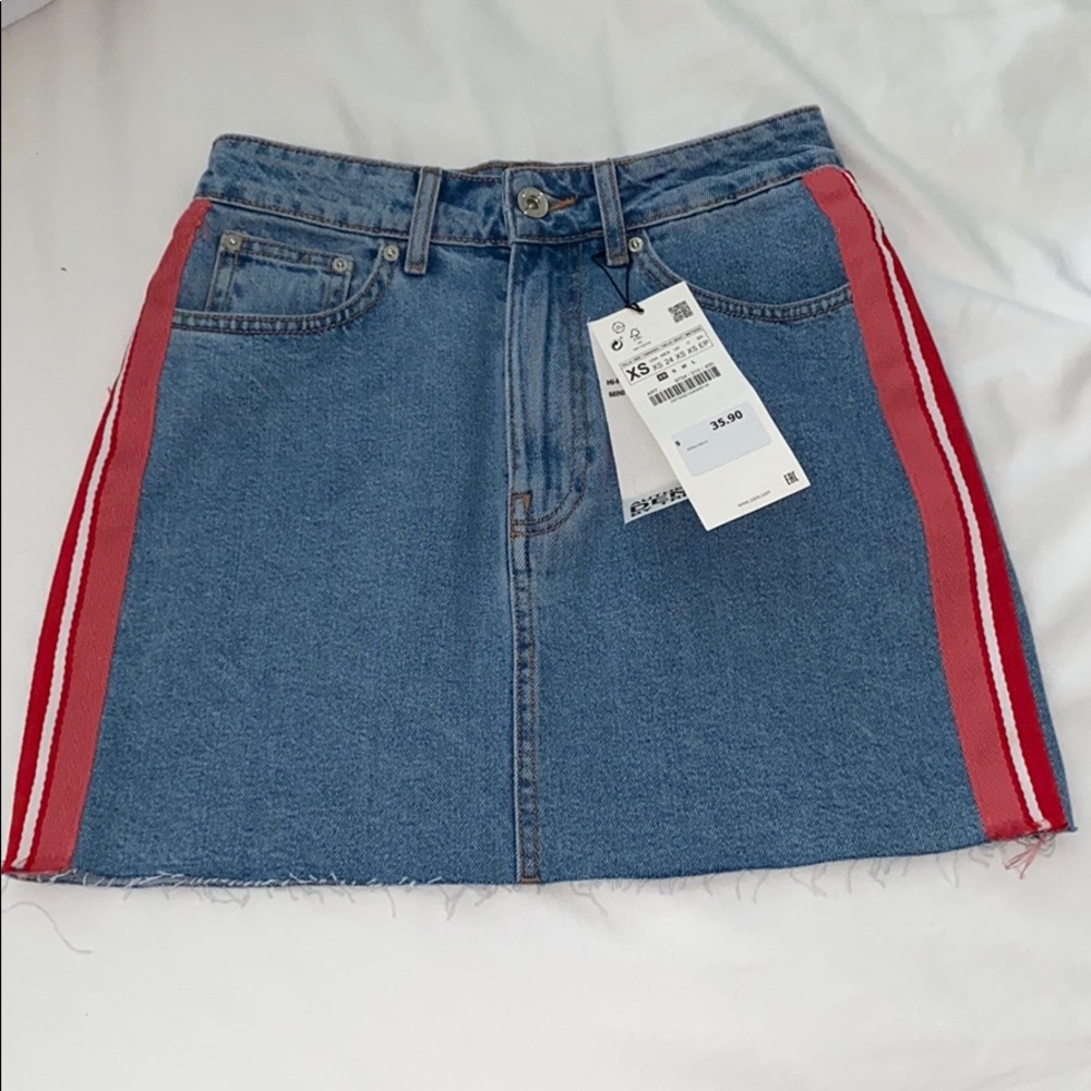 Zara Skirt